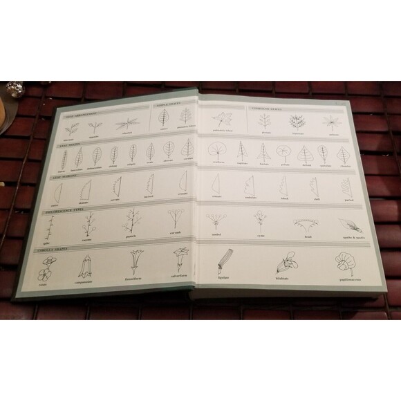 Vintage 1989 Perennials for American Gardens Ruth Rogers Clausen Hardcover Illus - Picture 2 of 6